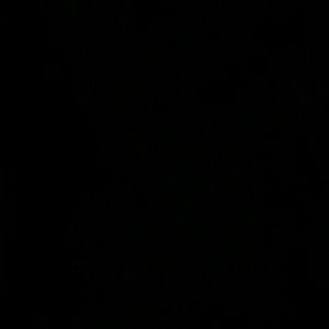 Meet your Posher, Bria